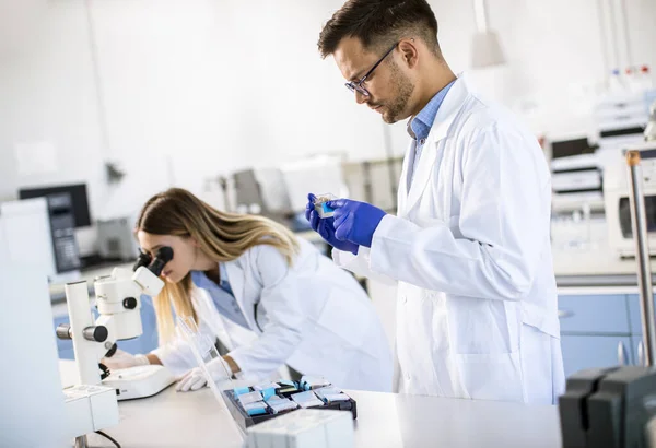 Jonge Onderzoekers Die Chemische Gegevens Het Laboratorium Analyseren — Stockfoto