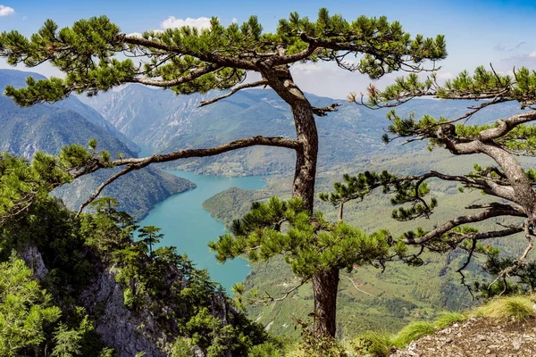 Blick Vom Tara Gebirge Serbien Auf Den Perucac See Und — Stockfoto