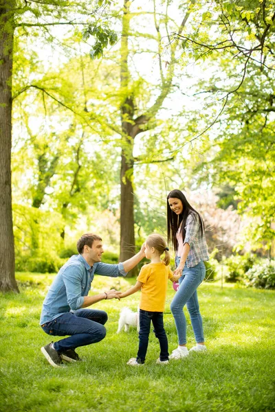 Joyeux Jeune Famille Avec Chien Bichon Mignon Dans Parc — Photo