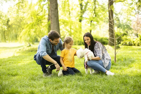 Hermosa Familia Feliz Divierte Con Perro Bichon Aire Libre Parque — Foto de Stock