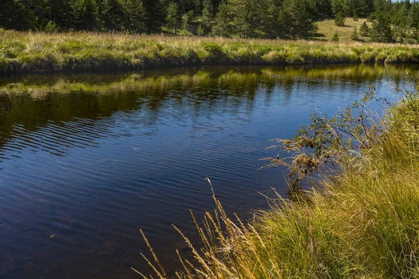 Vue Sur Rivière Crni Rzav Sur Montagne Zlatibor Serbie — Photo