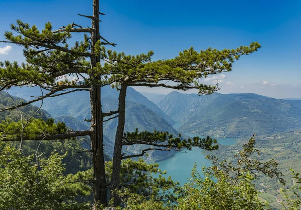 Pohled Jezero Perucac Řeku Drinu Hory Tara Srbsku — Stock fotografie