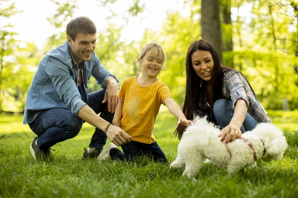 Piękna Szczęśliwa Rodzina Bawi Się Psem Bichon Świeżym Powietrzu Parku — Zdjęcie stockowe