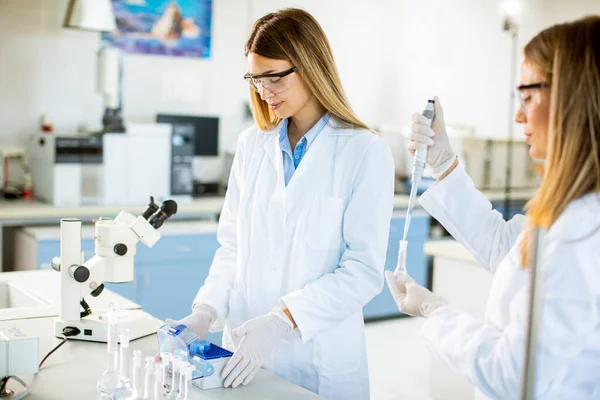 Leuke Vrouwelijke Onderzoekers Witte Labjas Aan Het Werk Het Laboratorium — Stockfoto