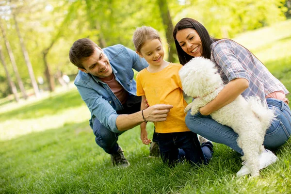 Vacker Lycklig Familj Har Roligt Med Bichon Hund Utomhus Parken — Stockfoto