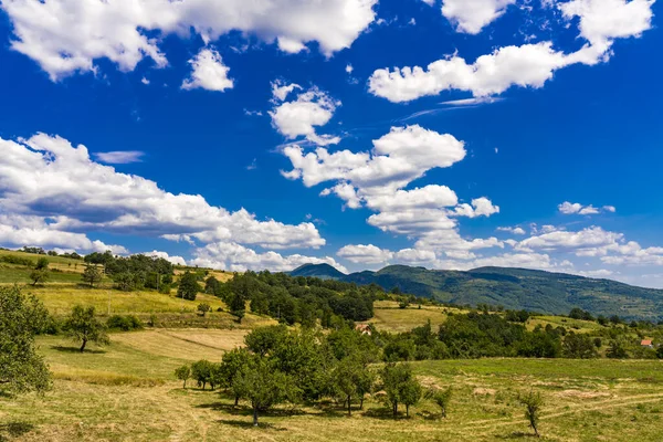 Vista Colina Greben Junto Río Danubio Serbia — Foto de Stock