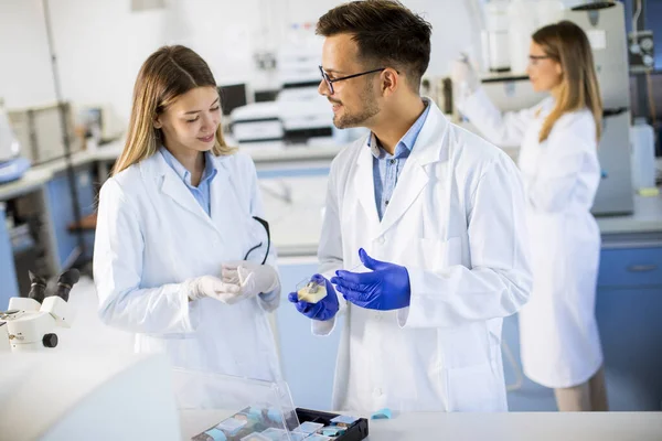 Jeunes Chercheurs Analysant Des Données Chimiques Laboratoire — Photo