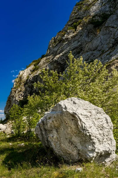 セルビアとルーマニアの国境のDjerdapのドナウ峡谷の石の岩で見る — ストック写真