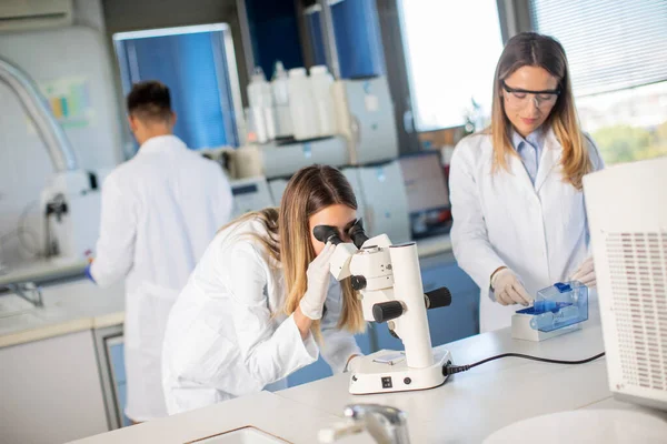 Młodzi Naukowcy Analizujący Dane Chemiczne Laboratorium — Zdjęcie stockowe