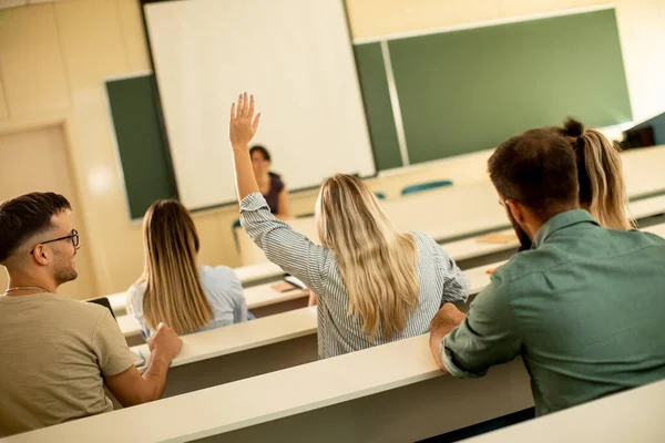 Grupp Universitetslektorer Klassrummet — Stockfoto