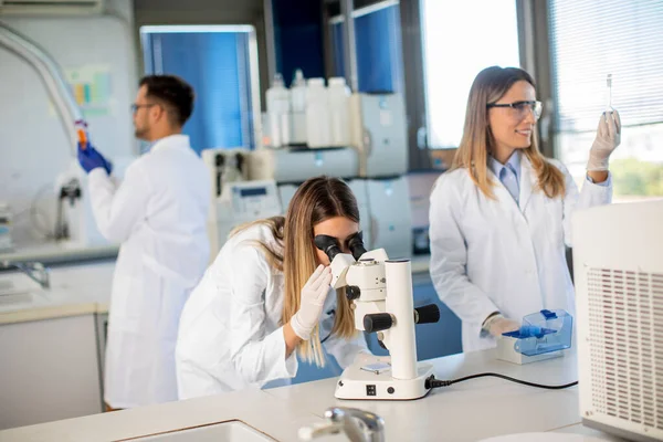 Jonge Onderzoekers Die Chemische Gegevens Het Laboratorium Analyseren — Stockfoto