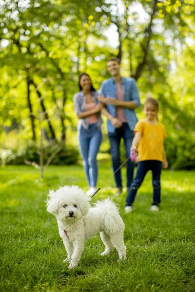 Szczęśliwa Młoda Rodzina Cute Psa Bichon Parku — Zdjęcie stockowe
