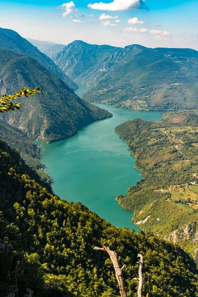 Kilátás Perucac Tóra Drina Folyóra Tara Hegyről Szerbiában — Stock Fotó