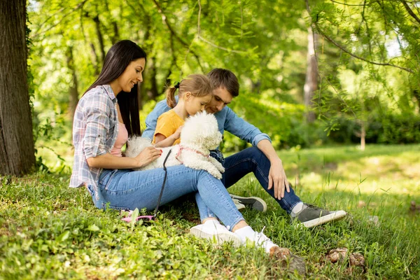 美しい幸せな家族は公園の屋外で自転車犬と楽しい時間を過ごしています — ストック写真