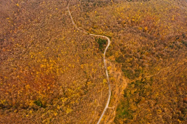 Aerial View Beautiful Autumn Forest Road — Stock Photo, Image