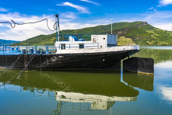 Kilátás Hajóra Djerdapi Duna Szorosnál Szerb Román Határon — Stock Fotó