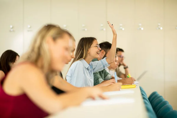 Grupa Studentów Wyższych Uczelni Klasie — Zdjęcie stockowe