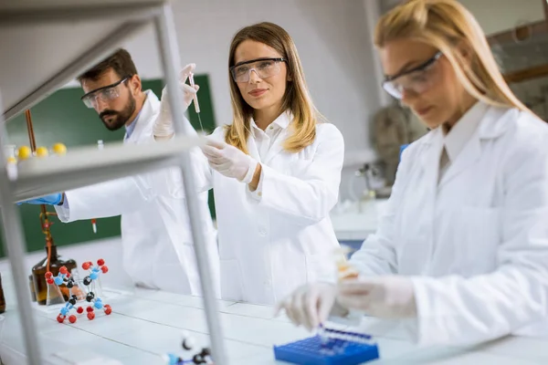 Young Researchers Analyzing Chemical Data Laboratory — Stock Photo, Image