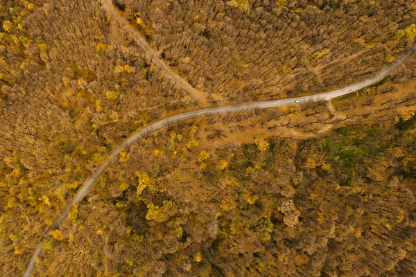 Vista Aerea Bella Strada Forestale Autunno — Foto Stock