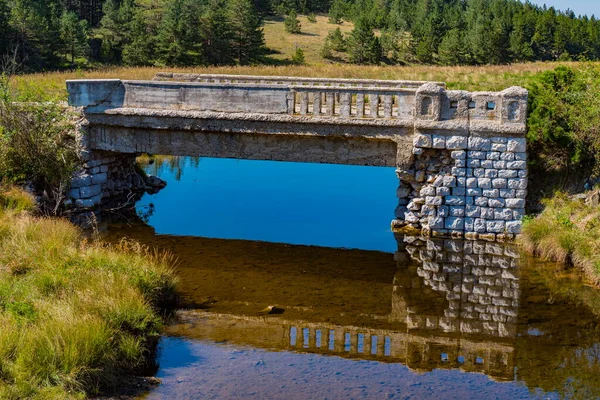 Sırbistan Zlatibor Dağındaki Crni Rzav Nehri Üzerindeki Eski Taş Köprüye — Stok fotoğraf