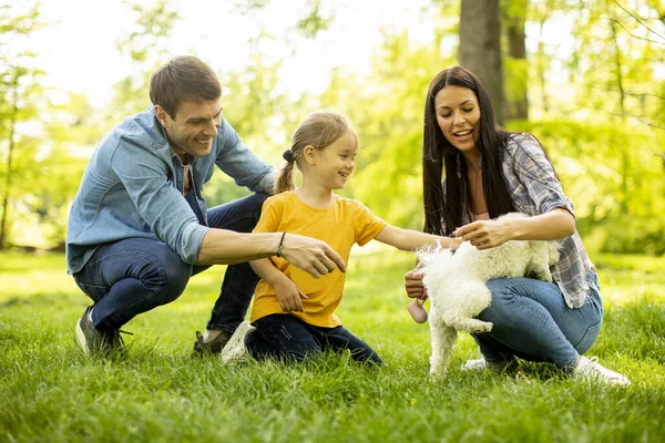 Güzel, mutlu bir aile parkta bizon köpeğiyle eğleniyor.