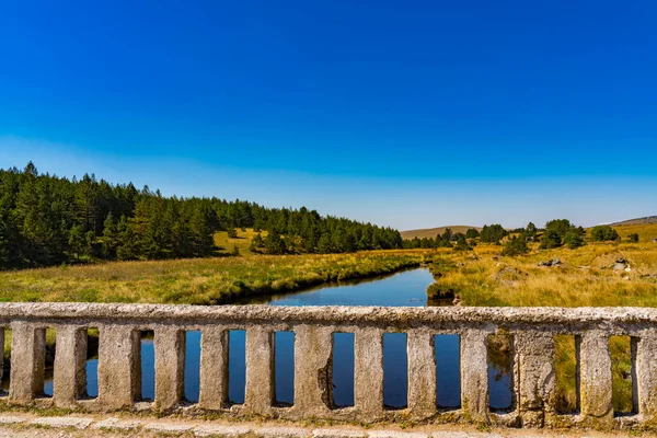 Blick Auf Die Alte Steinbrücke Fluss Crni Rzav Auf Dem — Stockfoto
