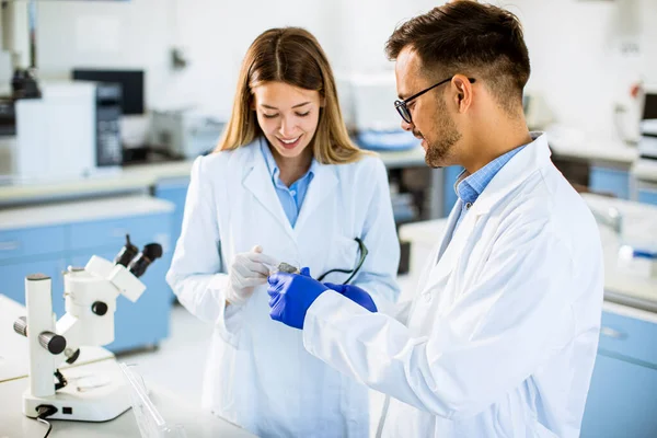 Jonge Onderzoekers Die Chemische Gegevens Het Laboratorium Analyseren — Stockfoto