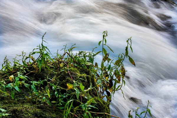 Вид Водопад Реки Врело Перучаче Сербии — стоковое фото