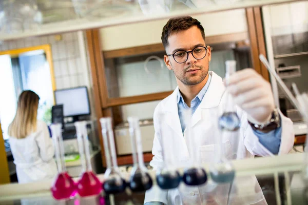 Jonge Onderzoeker Controleert Reageerbuizen Het Laboratorium — Stockfoto