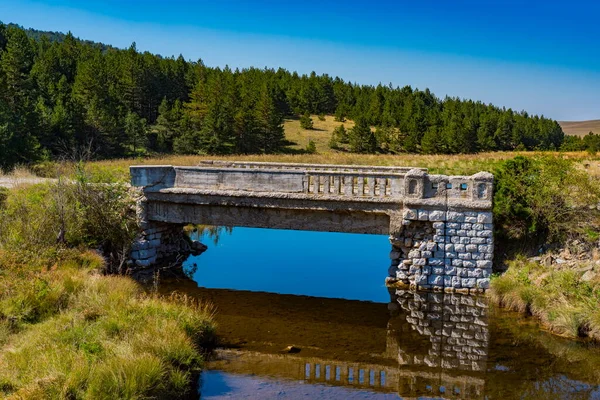 セルビアのZlatibor山のCrni Rzav川の古い石造りの橋で見る — ストック写真