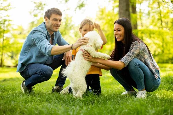 Beautiful Happy Family Having Fun Bichon Dog Outdoors Park — Stock Photo, Image