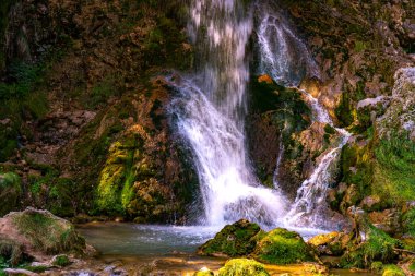 Sırbistan 'ın Zlatibor dağındaki Gostilje şelalesine bak