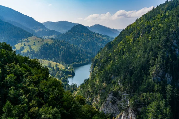 Pohled Jezero Zaovine Srbsku — Stock fotografie