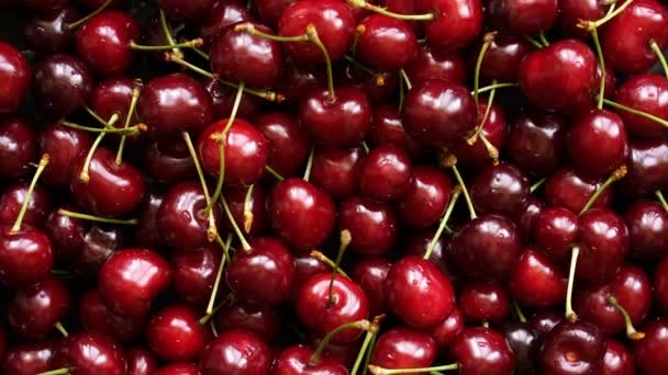 Предпосылки / контекст view of cherries rotating — стоковое видео