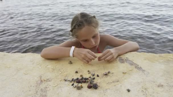 Meisje met Paguroidea spelen op een strand — Stockvideo