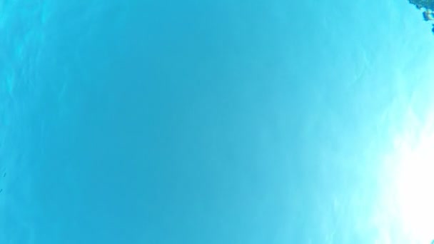 Underwater view of a girl swimming in pool — Stock Video