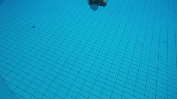 Meisje in zwembad duiken en zwemmen naar de camera — Stockvideo