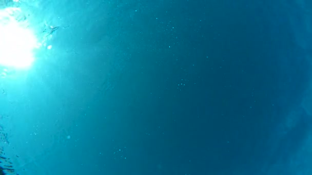 水中から下から見た図 — ストック動画