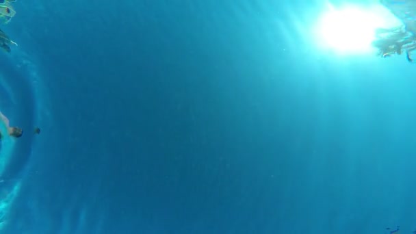 Hombre flotando en el anillo inflable en la piscina, vista desde el agua — Vídeo de stock