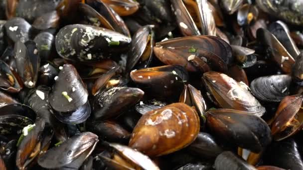 Mejillones Cocidos Con Sal Marina Eneldo — Vídeos de Stock