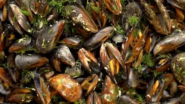 Boiled Mussels Cooked Sea Salt Dill — Stock Video