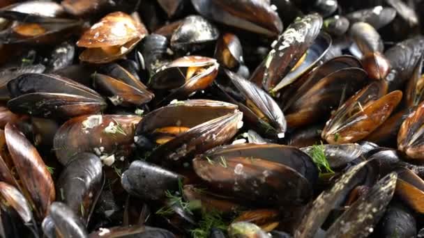 Moules Bouillies Cuites Sel Mer Aneth — Video