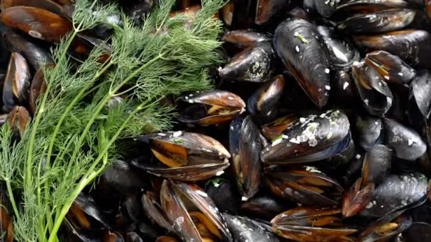 Boiled Mussels Cooked Sea Salt Dill — Stock Video