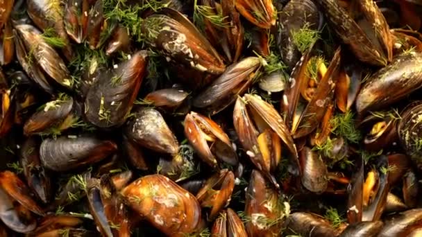 Boiled Mussels Cooked Sea Salt Dill — Stock Video