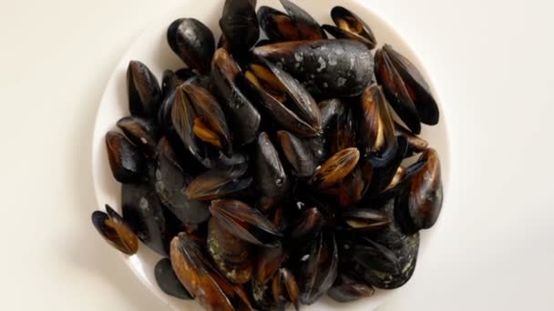 White Bowl Cooked Boiled Mussels — Stock Video