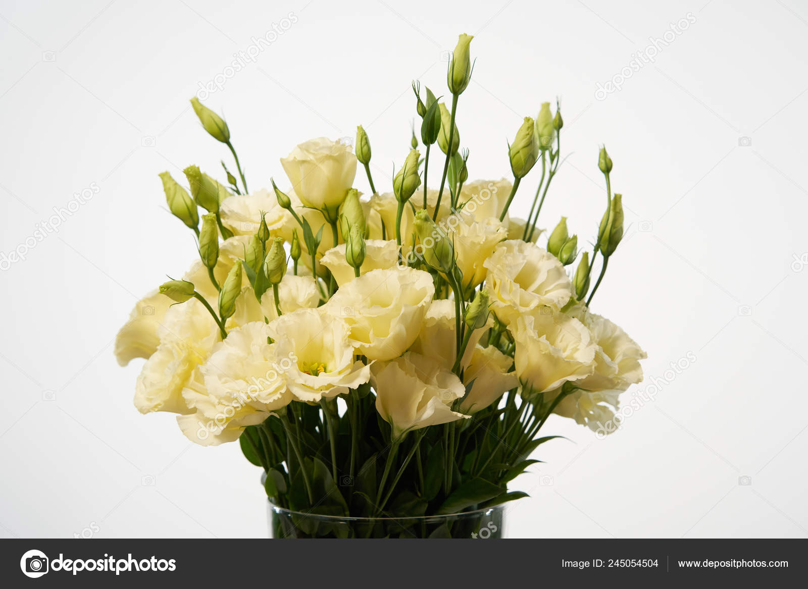 Bouquet De Fleurs Jaunes Tendres Photographie