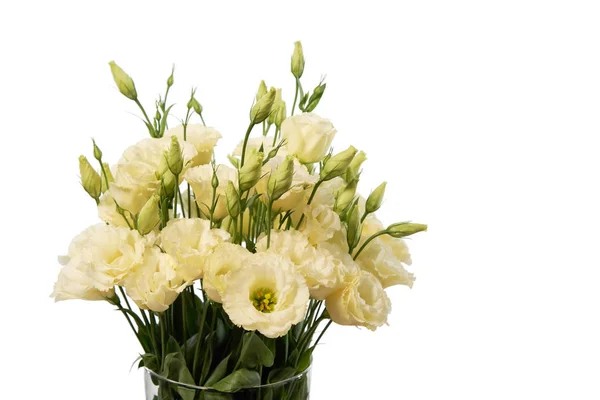 Kilka ofert żółte kwiaty — Zdjęcie stockowe