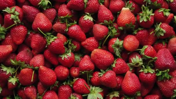 Background top view 4k video of strawberries — Stock Video