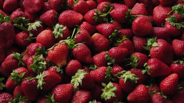 Background top view 4k video of strawberries — Stock Video