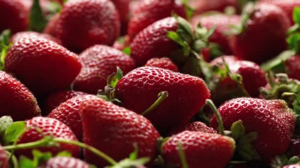Nahaufnahme von reifen Erdbeeren — Stockvideo